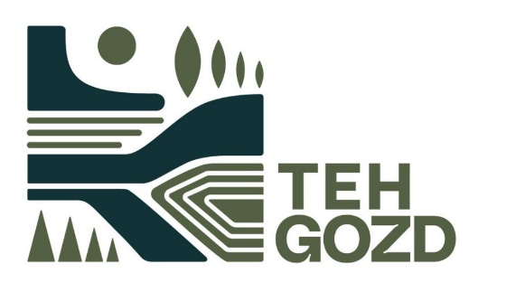 gis logo